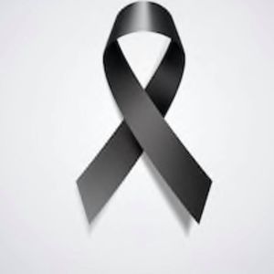 Meet your Posher, Zenaida